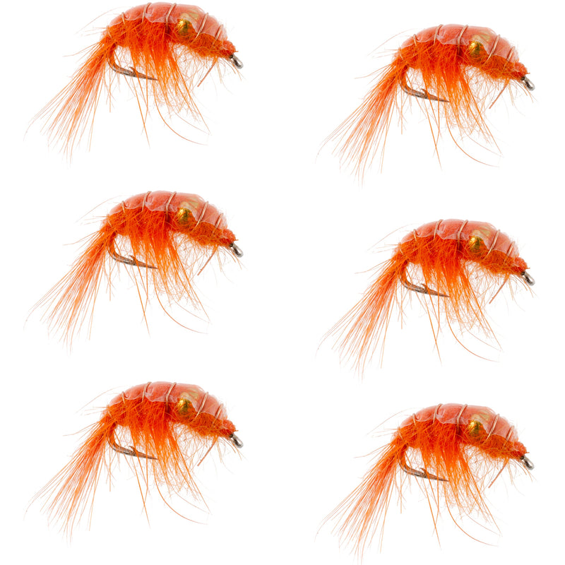 Load image into Gallery viewer, Orange Beaded Shrimp Scud - 6 Flies - Size 12 - Tailwater Lake Fly Fishing Nymph