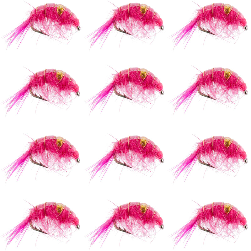 Load image into Gallery viewer, Pink Beaded Shrimp Scud Pattern - 1 Dozen Size 12 - Tailwater Lake Fly Fishing Nymph