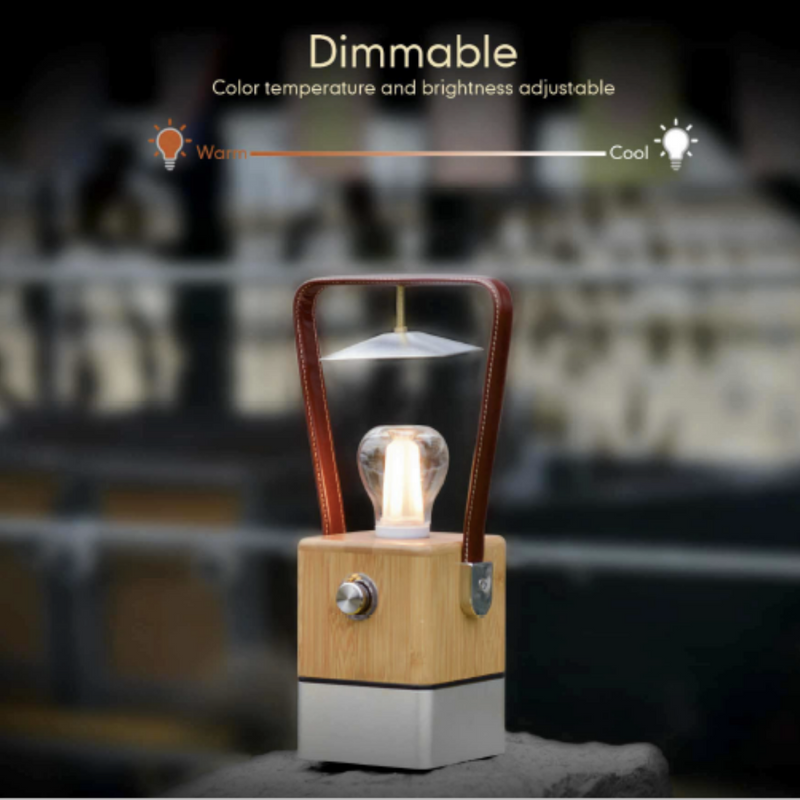 Load image into Gallery viewer, TRU De-LIGHT VIENNA Dimmable Desk Lamp - Lamp / Power Bank / Decoration All-In-One