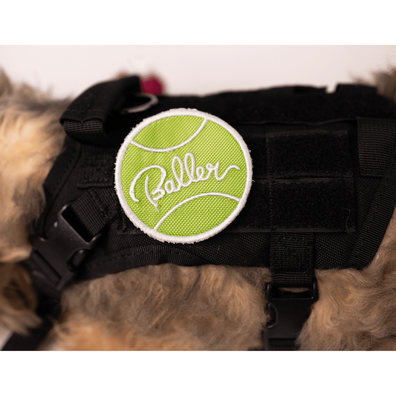 Load image into Gallery viewer, Baller Patch