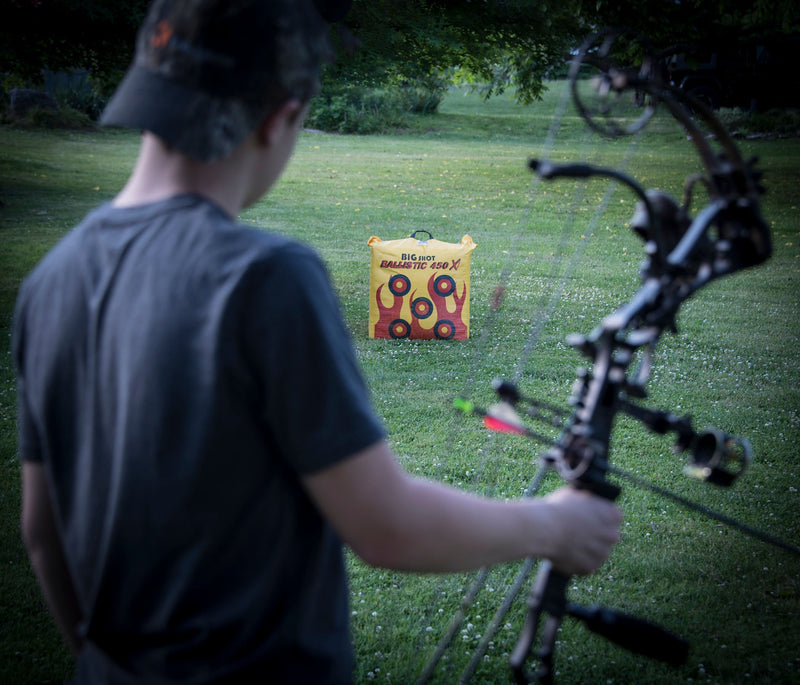 Load image into Gallery viewer, Ballistic 450X Bag Target