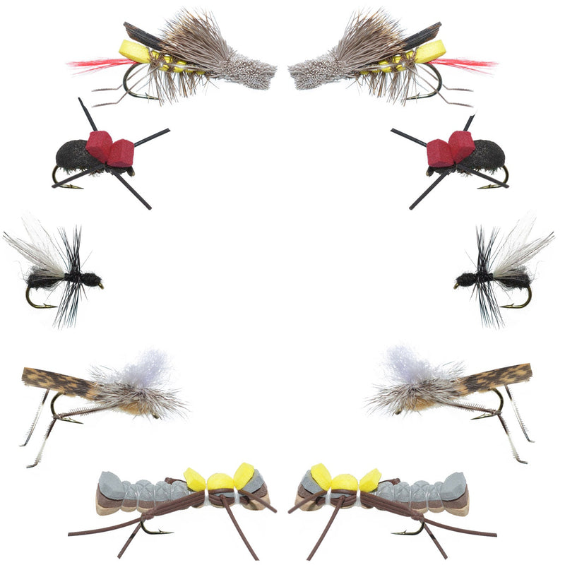 Load image into Gallery viewer, Basics Collection - Terrestrials Fly Assortment - 10 Flies - Sizes 10-14