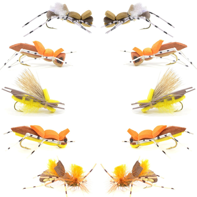 Load image into Gallery viewer, Basics Collection - Foam Hoppers Assortment - 10 Flies - Size 10