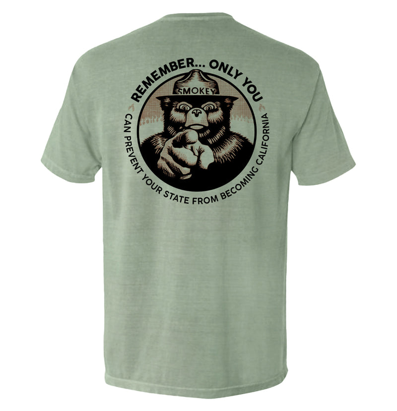 Load image into Gallery viewer, Remember Only you can prevent your state from becoming California