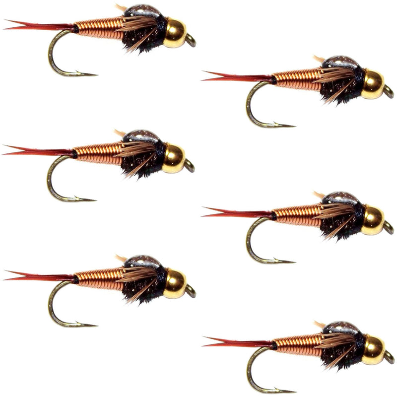 Load image into Gallery viewer, Tungsten Bead Head Copper John Nymph Fly Fishing Flies - Set of 6 Flies Hook Size 14