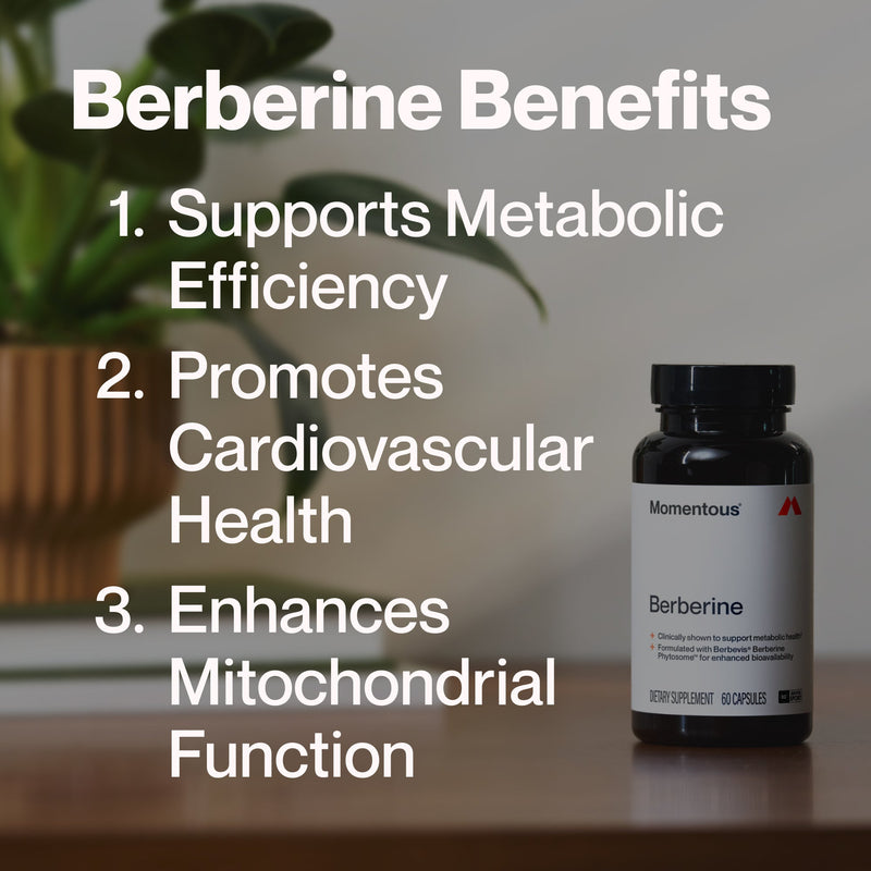 Load image into Gallery viewer, Berberine