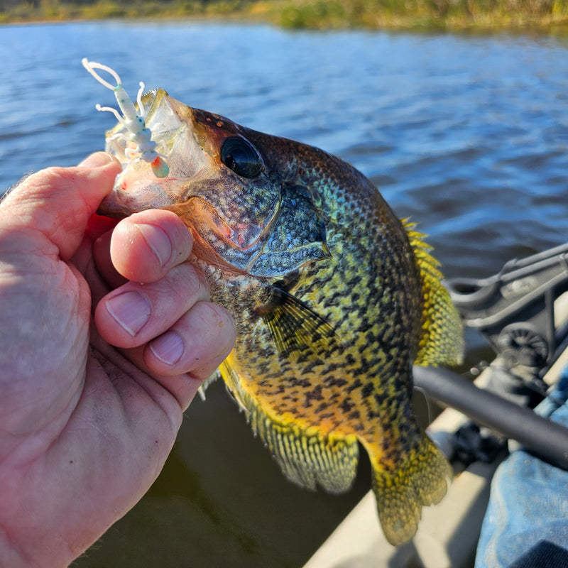Load image into Gallery viewer, Custom 1.375" Soft Stonefly Nymphs