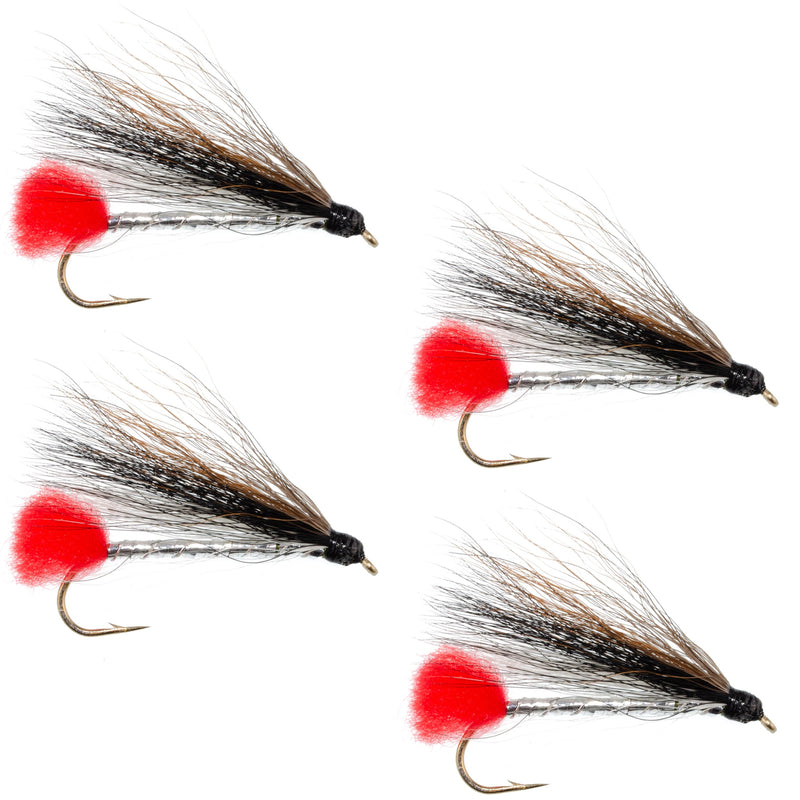 Load image into Gallery viewer, Black Nose Dace Classic Streamer Flies - Set of 4- Hook Size 4