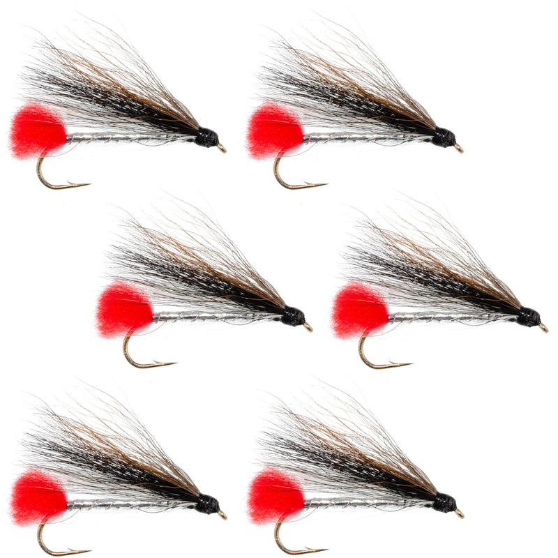 Load image into Gallery viewer, Black Nose Dace Classic Streamer Flies - Set of 6- Hook Size 4
