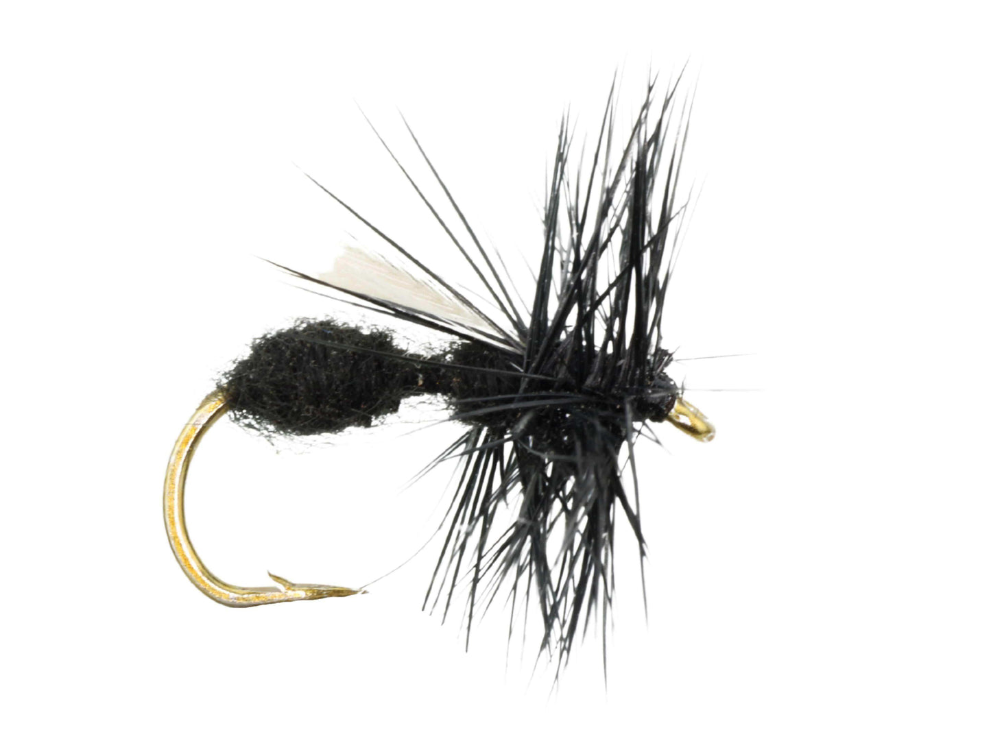 Winged Black Ant, Size 12 | Qty. 6 | Wild Water Fly Fishing - Skoutley Outdoors LLC
