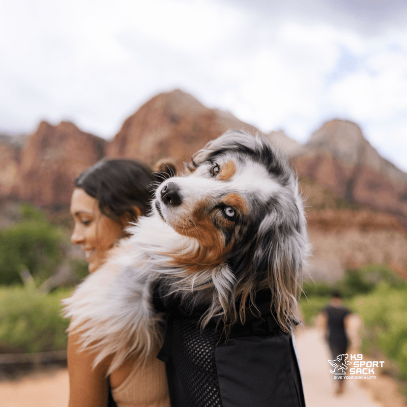 Load image into Gallery viewer, Knavigate | Advanced Dog Carrier with Internal Frame & Hip Belt