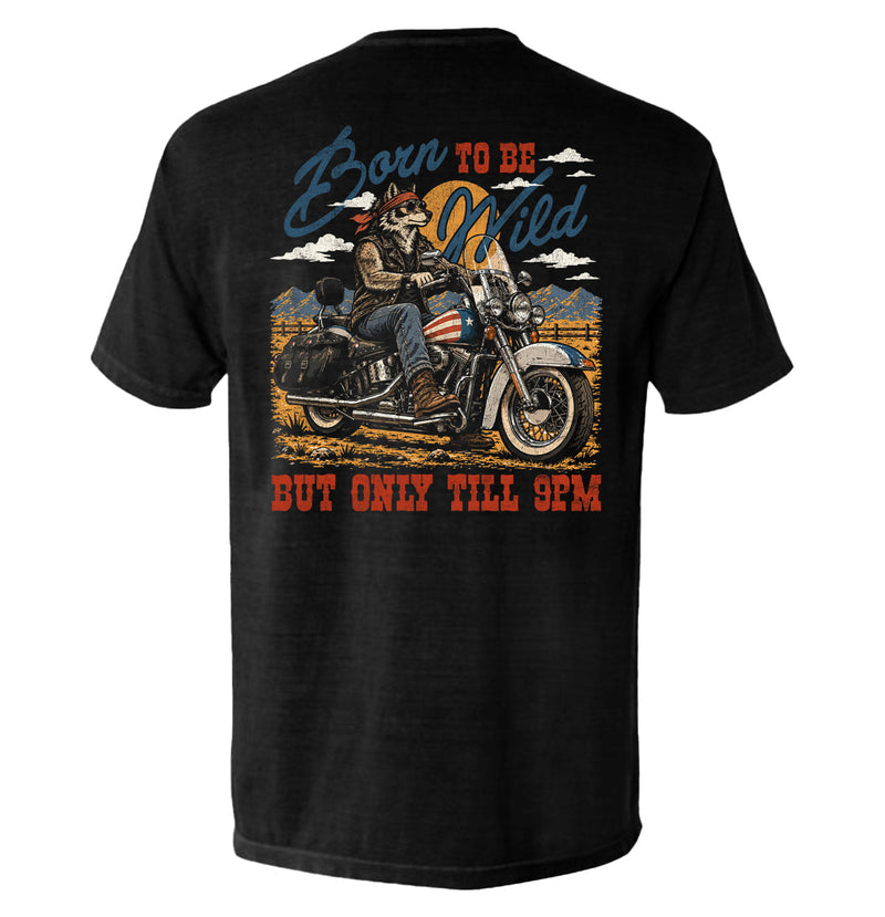 Load image into Gallery viewer, Born to be Wild