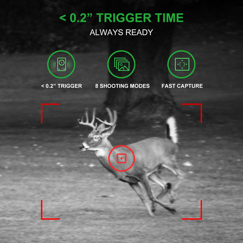 Load image into Gallery viewer, REXING H1 Blackhawk Night Vision Trail Camera Full HD 1920×1080