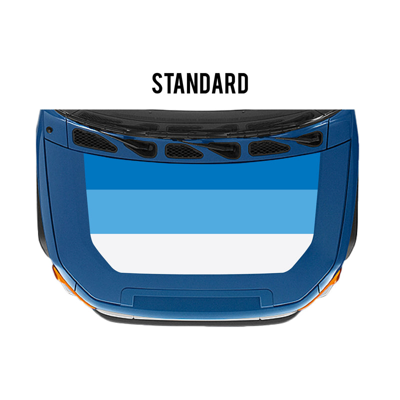 Load image into Gallery viewer, 2007-14 FJ Cruiser Checkered Stripe Kit