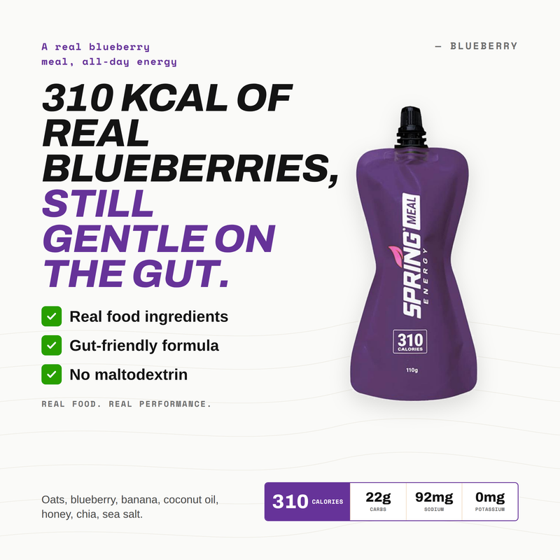 Load image into Gallery viewer, Blueberry Endurance Meal (Vegan) 310 Kcal