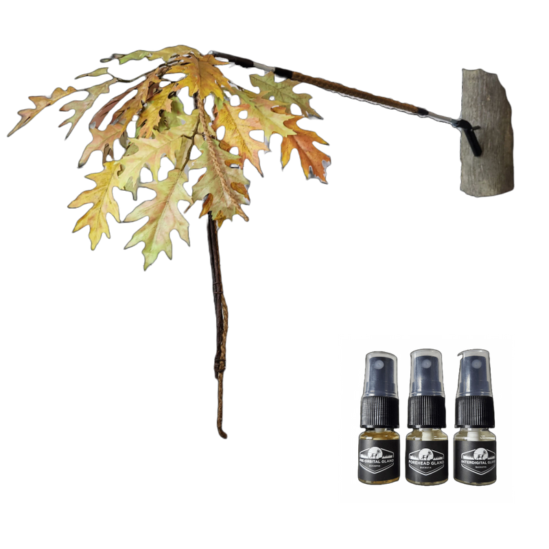 Load image into Gallery viewer, BuckBranch w/ 3 pack of Glands