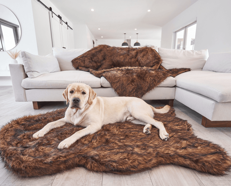 Load image into Gallery viewer, PupRug by Paw.com® Faux Fur Orthopedic Dog Bed - Curve Brown