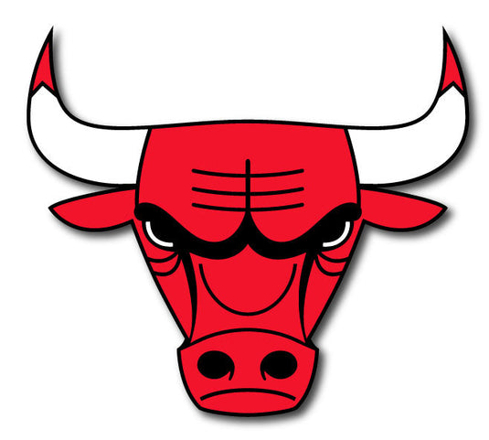 CHICAGO BULL 2