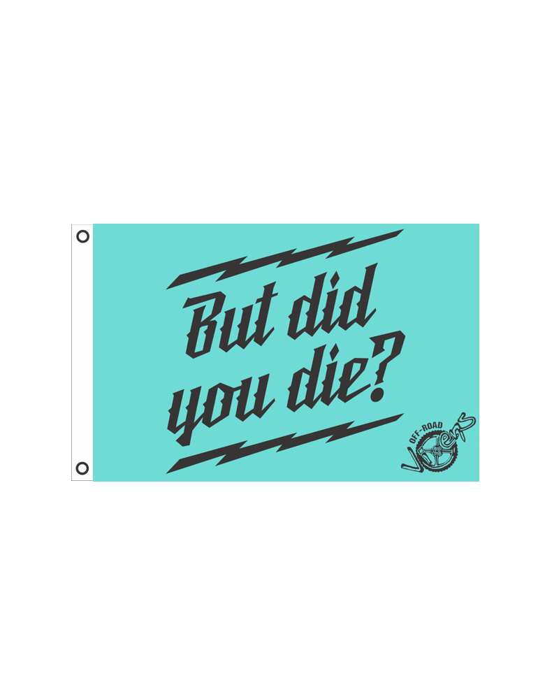 Load image into Gallery viewer, But did you Die? Flag 12" x 18"