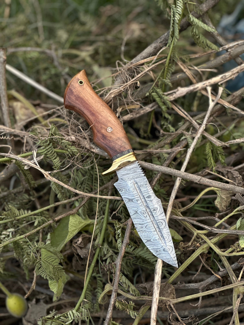 Load image into Gallery viewer, Hunting Blade – 10" Damascus Steel Knife with Rosewood Handle, Brass Guard & Leather Sheath