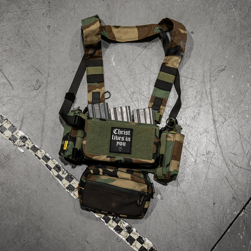 Load image into Gallery viewer, Christ Lives In You Velcro Patch