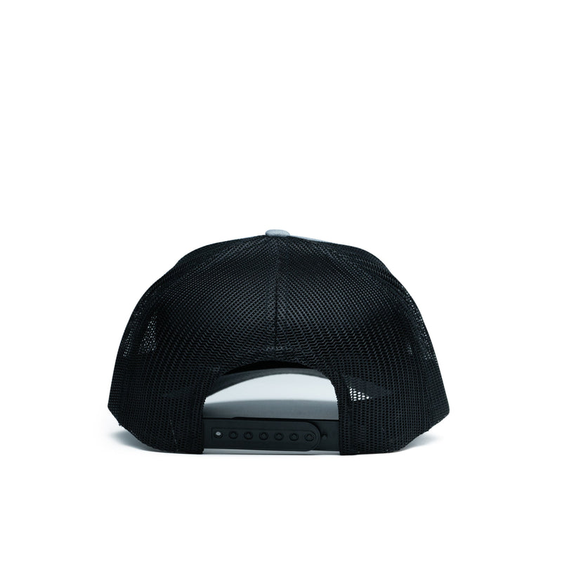Load image into Gallery viewer, Walleye Patch Hat