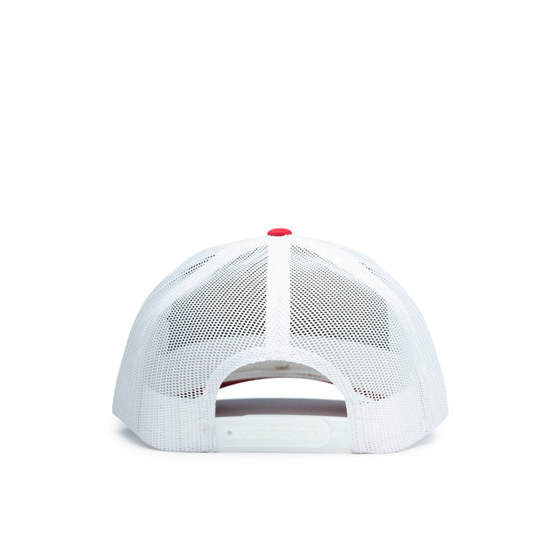 Load image into Gallery viewer, Largemouth Bass Patch Hat