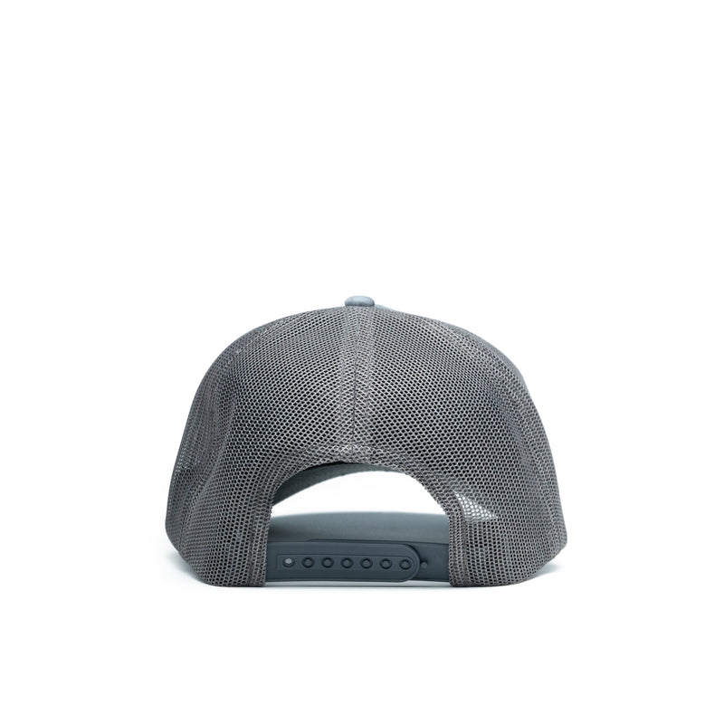 Load image into Gallery viewer, Duck Patch Hat