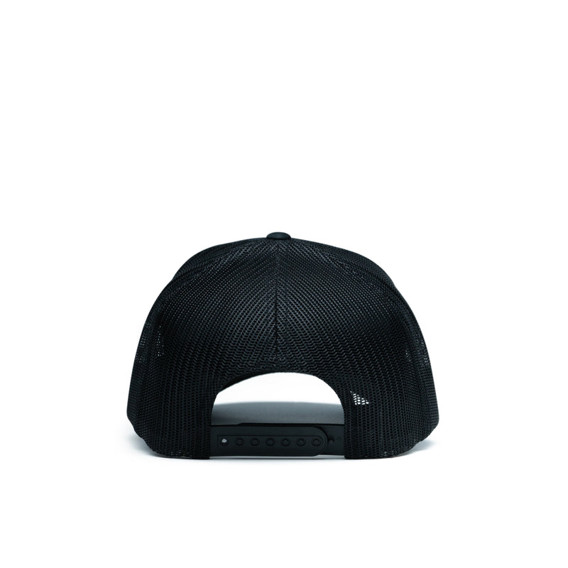 Load image into Gallery viewer, Duck Patch Hat