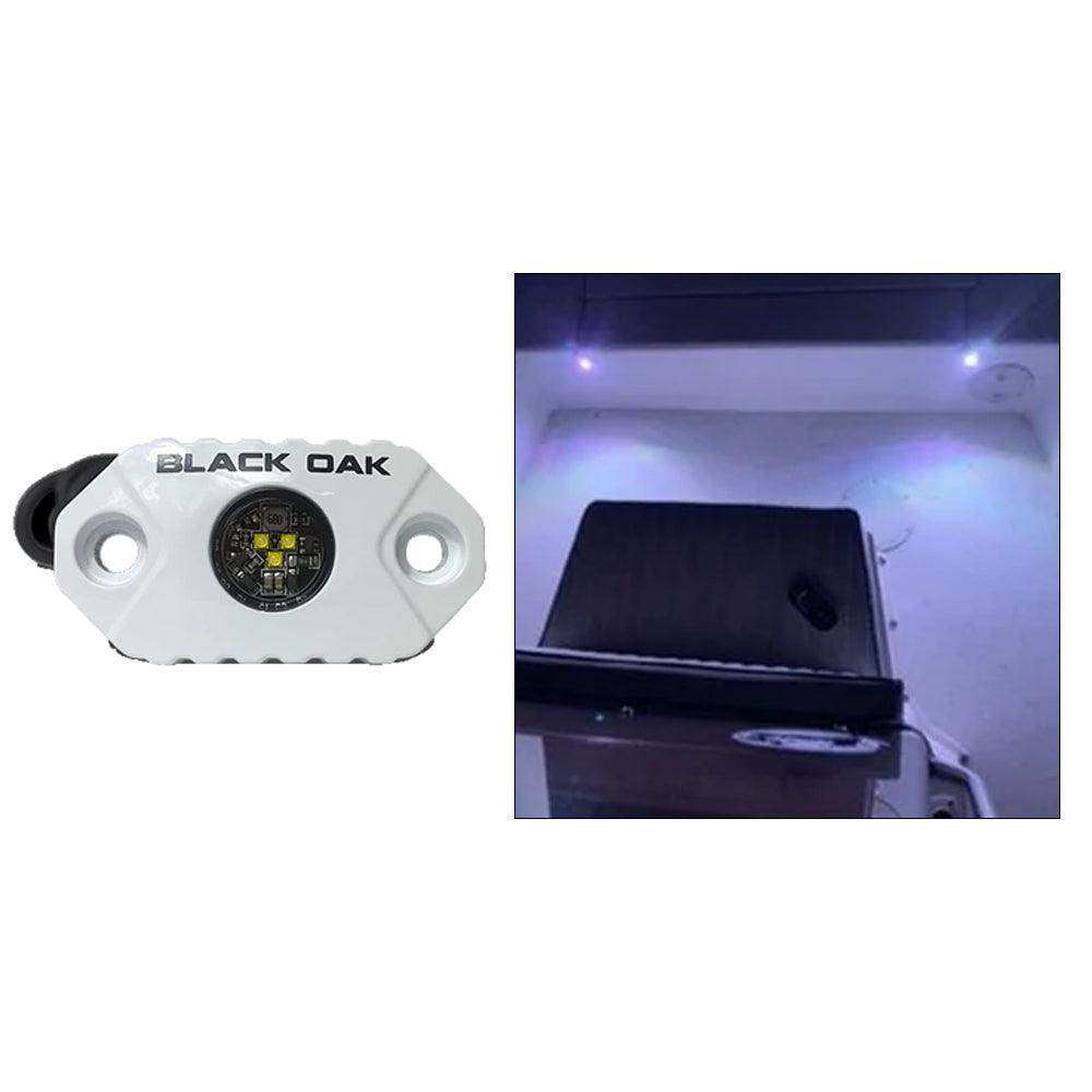 Black Oak Rock Accent Light - White LEDs - White Housing - Skoutley Outdoors LLC