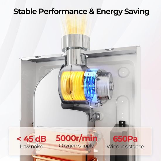 Load image into Gallery viewer, Camplux Climatech 3 Indoor Gas Tankless Water Heater 102,000 BTU