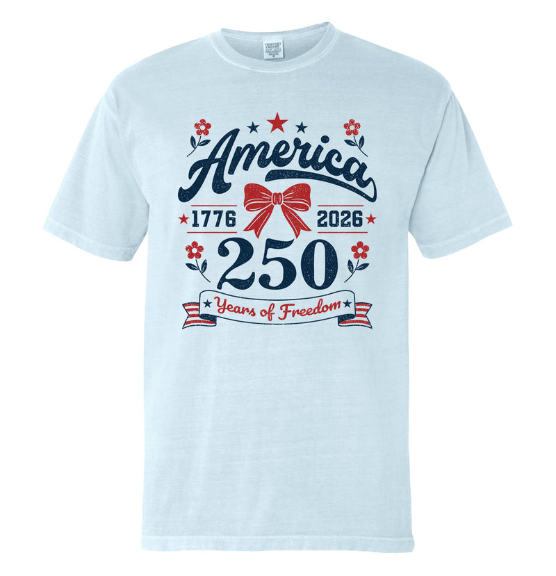 Load image into Gallery viewer, 250 Years of Freedom (Front Print)