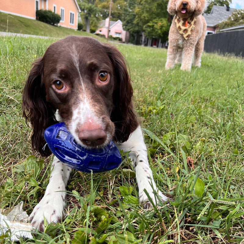 Load image into Gallery viewer, Chewie Squeak Rubber Football