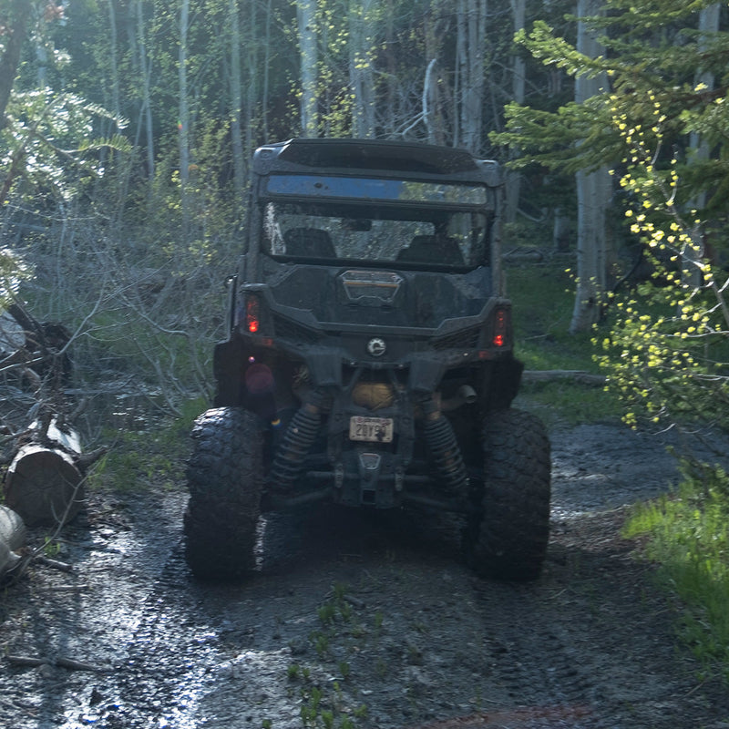 Load image into Gallery viewer, Can-Am Maverick Sport Tinted Rear Windshield