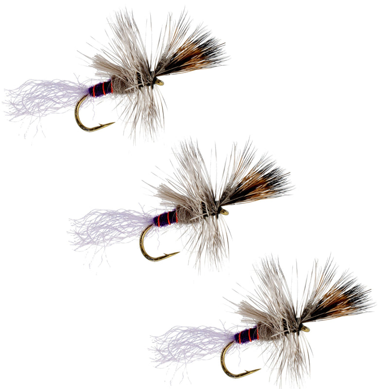 Load image into Gallery viewer, 3 Pack Purple Haze Cripple Mayfly Hook Size 18
