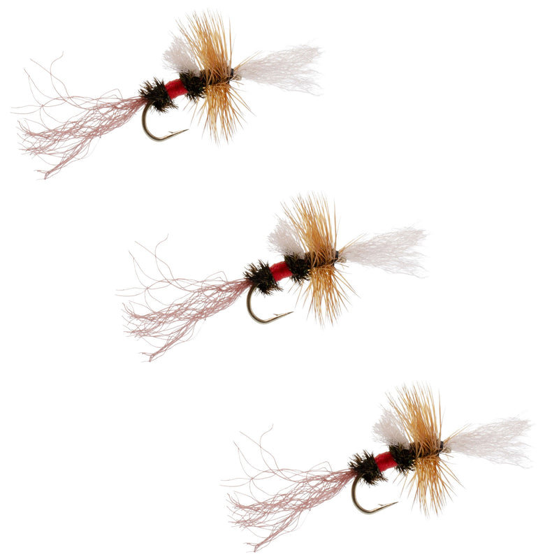 Load image into Gallery viewer, 3 Pack Royal Wulff Cripple Mayfly - Caddis Emerger Hook Size 18
