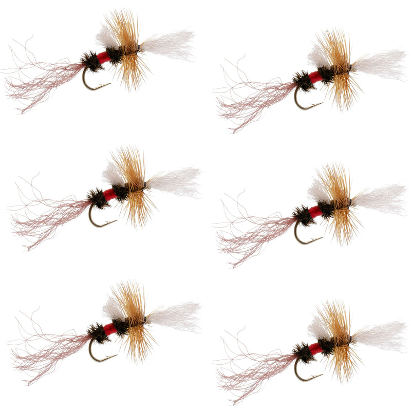 Load image into Gallery viewer, Royal Wulff Cripple Mayfly - Caddis Emerger - 6 Flies Hook Size 20