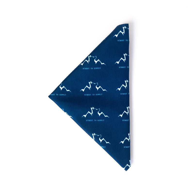 Load image into Gallery viewer, Alpha Pak Logo Bandana
