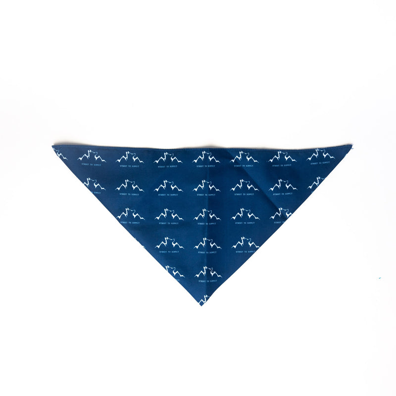 Load image into Gallery viewer, Alpha Pak Logo Bandana