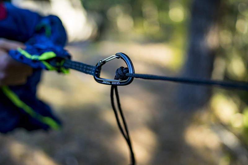 Load image into Gallery viewer, Aluminum Wiregate Carabiners (Pair)