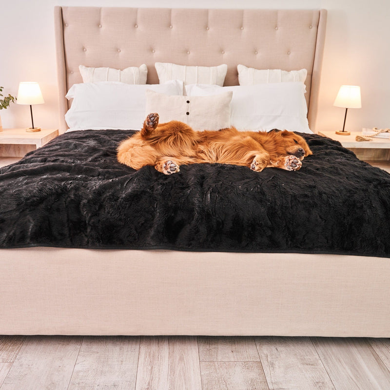 Load image into Gallery viewer, PupProtector™ Summer Short Fur Waterproof Throw Blanket - Midnight Black