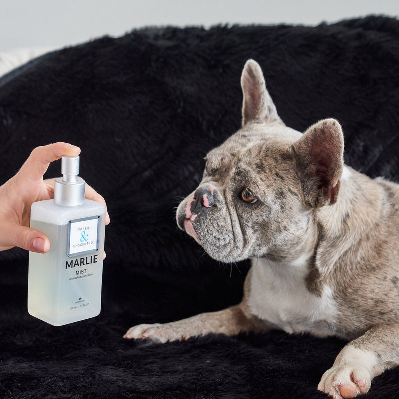 Load image into Gallery viewer, Marlie Mist Pet Odor Eliminator Spray with Essential Oils