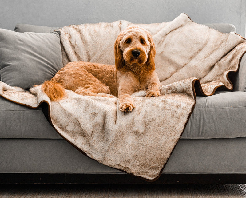 Load image into Gallery viewer, PupProtector™ Summer Short Fur Waterproof Throw Blanket - White with Brown Accents