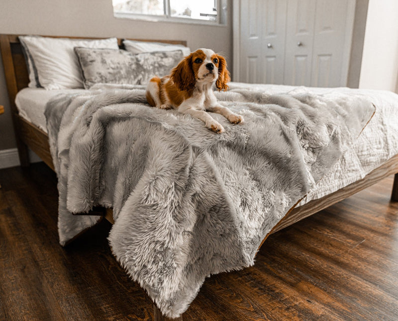 Load image into Gallery viewer, PupProtector™ Summer Short Fur Waterproof Throw Blanket - Grey