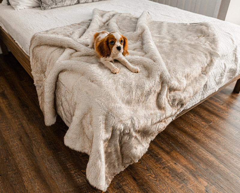 Load image into Gallery viewer, PupProtector™ Summer Short Fur Waterproof Throw Blanket - White with Brown Accents
