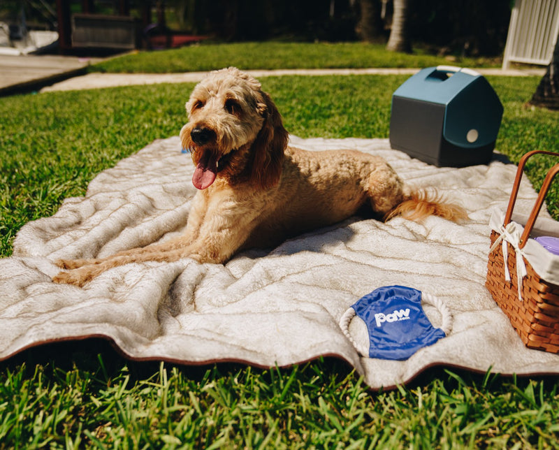 Load image into Gallery viewer, PupProtector™ Summer Short Fur Waterproof Throw Blanket - White with Brown Accents