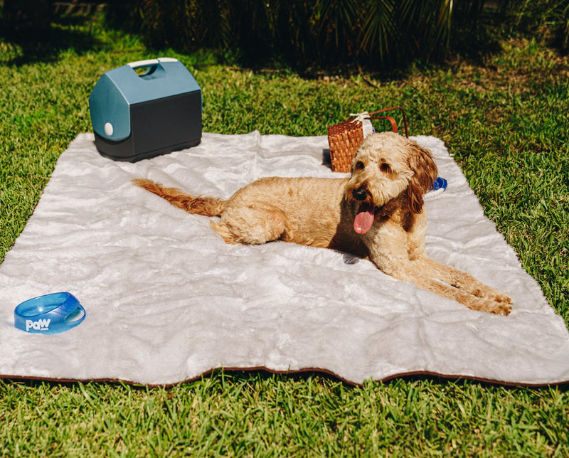 Load image into Gallery viewer, PupProtector™ Summer Short Fur Waterproof Throw Blanket - Grey