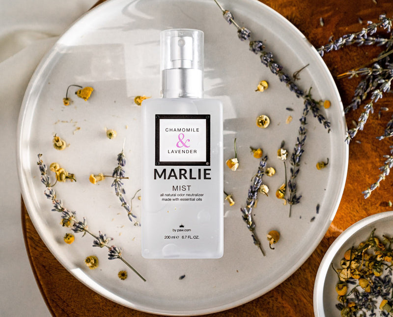Load image into Gallery viewer, Marlie Mist Pet Odor Eliminator Spray with Essential Oils