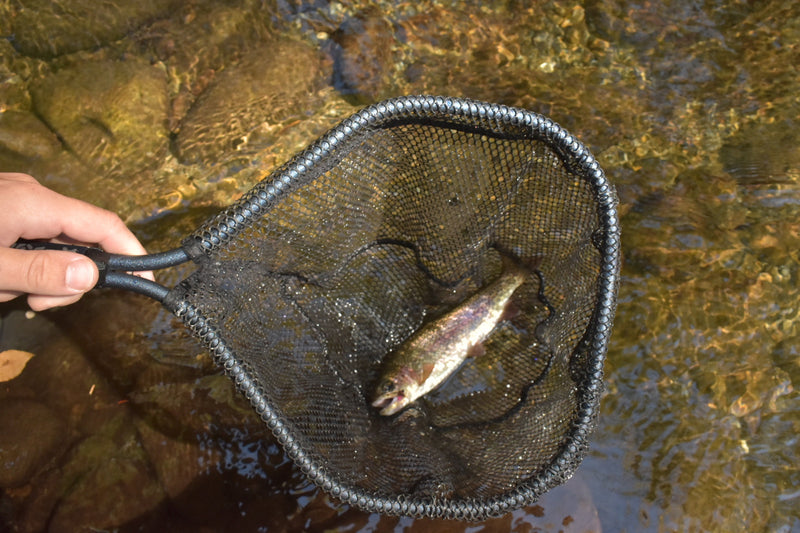 Load image into Gallery viewer, Native Brook Net