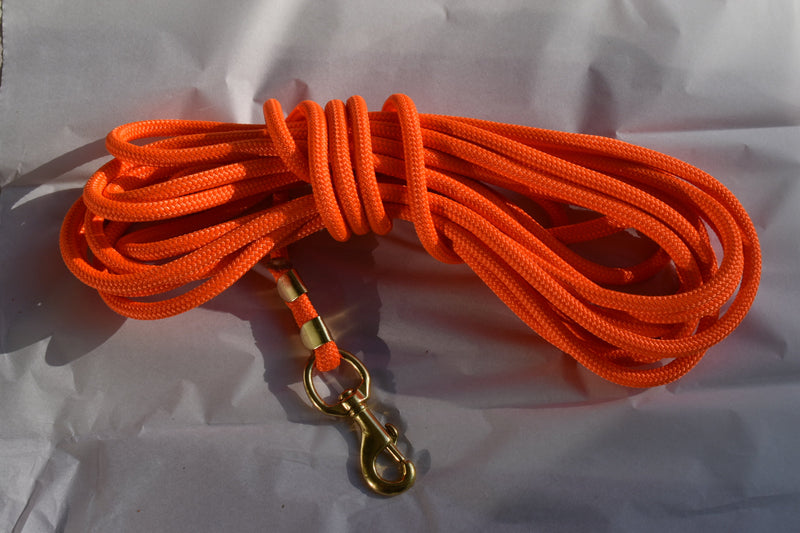 Load image into Gallery viewer, 30ft Nylon Dog Training Check Cord Rope